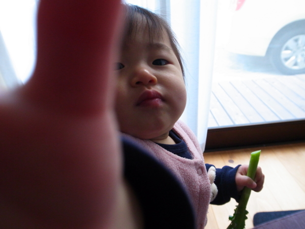 f:id:tangefarm:20111205122750j:image f:id:tangefarm:20111205122750j:image