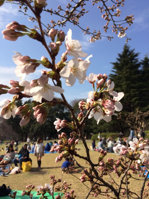 f:id:tanisanpo:20140330183353j:plain f:id:tanisanpo:20140330183353j:plain