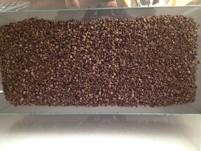 f:id:tank166:20130316175528j:plain f:id:tank166:20130316175528j:plain