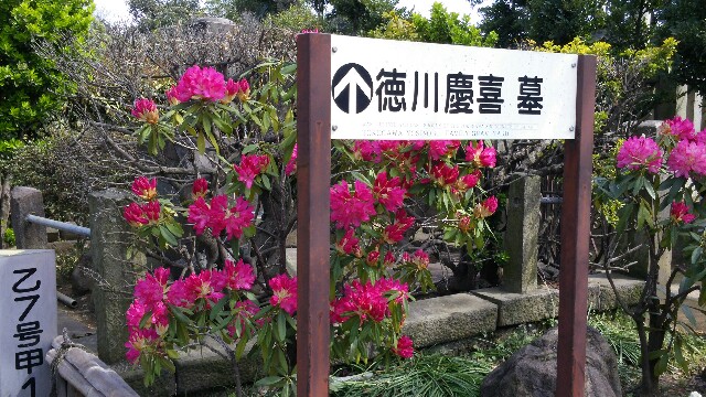 f:id:tanpopotanpopo:20160329151000j:image f:id:tanpopotanpopo:20160329151000j:image
