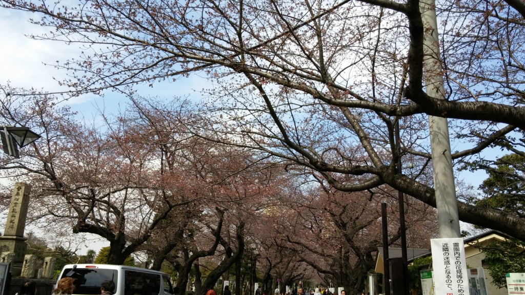 f:id:tanpopotanpopo:20160330141320j:plain f:id:tanpopotanpopo:20160330141320j:plain