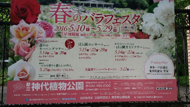 f:id:tanpopotanpopo:20160510010427j:image f:id:tanpopotanpopo:20160510010427j:image