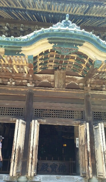 f:id:tanpopotanpopo:20160611154231j:image f:id:tanpopotanpopo:20160611154231j:image