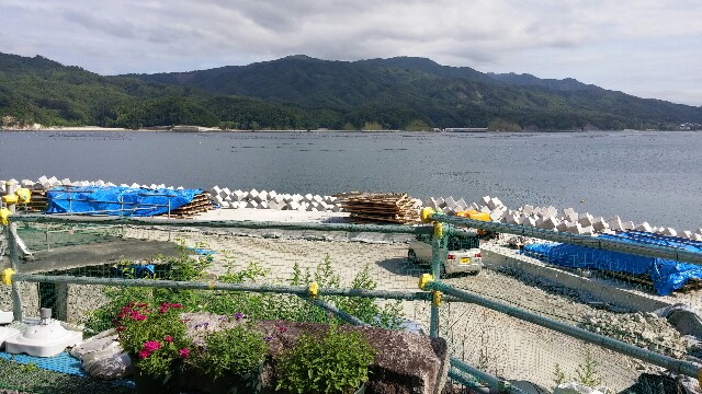 f:id:tanpopotanpopo:20160702215529j:image f:id:tanpopotanpopo:20160702215529j:image