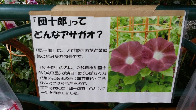 f:id:tanpopotanpopo:20160708161914j:image f:id:tanpopotanpopo:20160708161914j:image