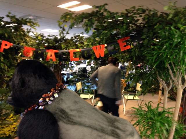 f:id:tapir320:20131029203323j:plain f:id:tapir320:20131029203323j:plain