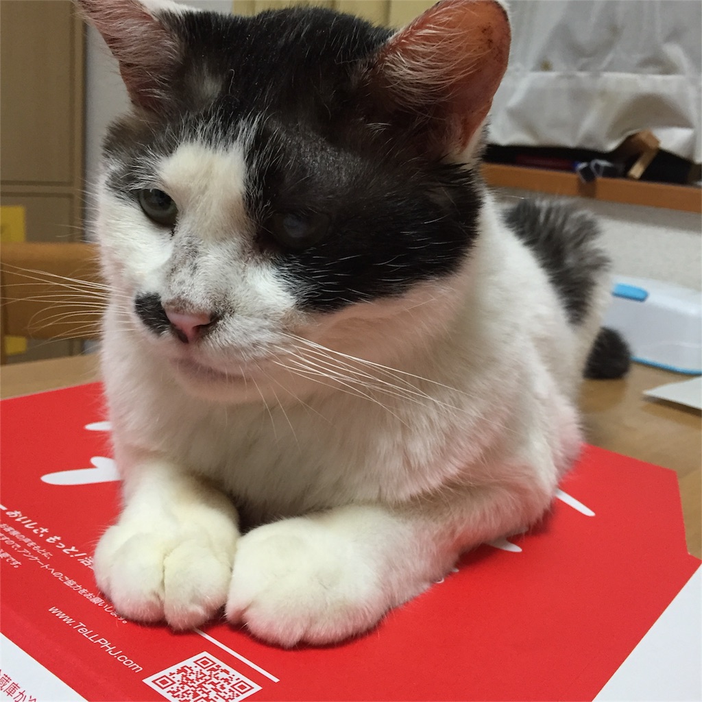 f:id:tarako3016:20151018193845j:image f:id:tarako3016:20151018193845j:image