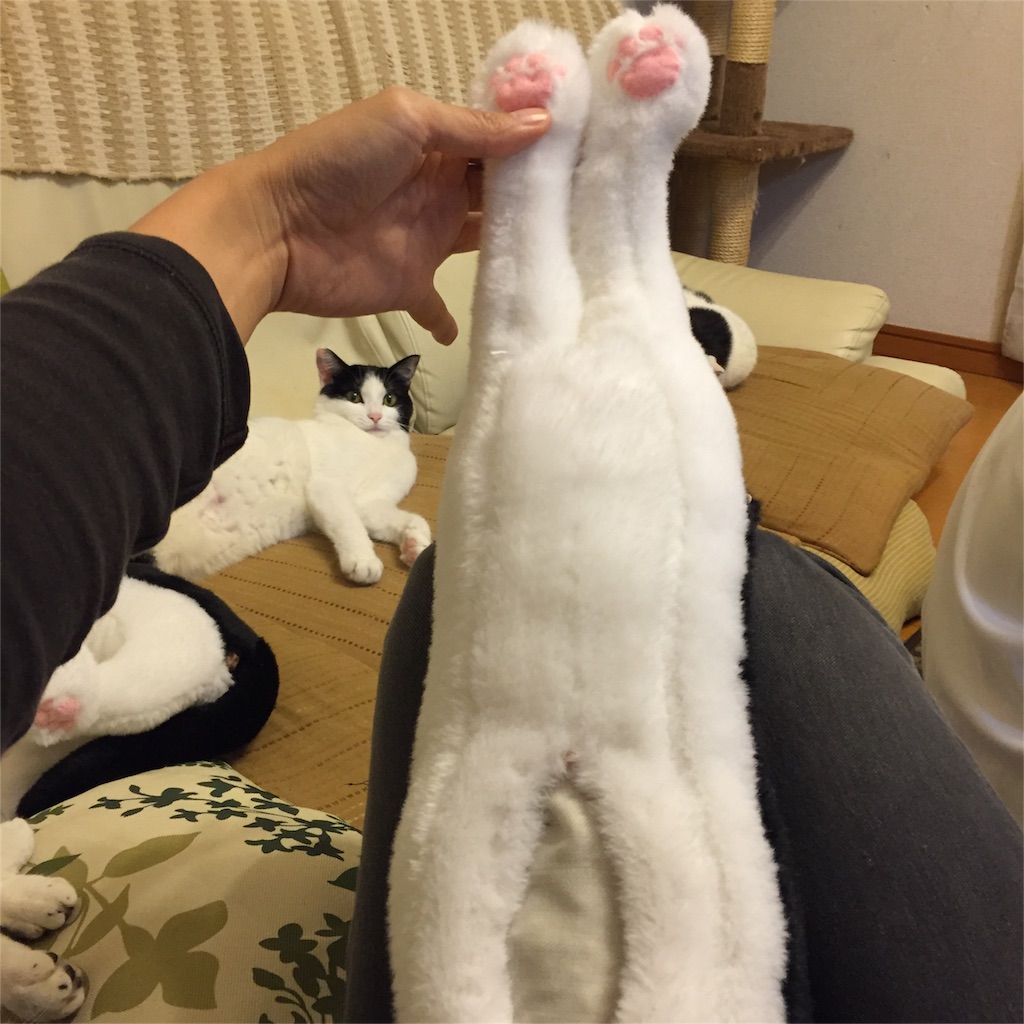 f:id:tarako3016:20151109215847j:image f:id:tarako3016:20151109215847j:image