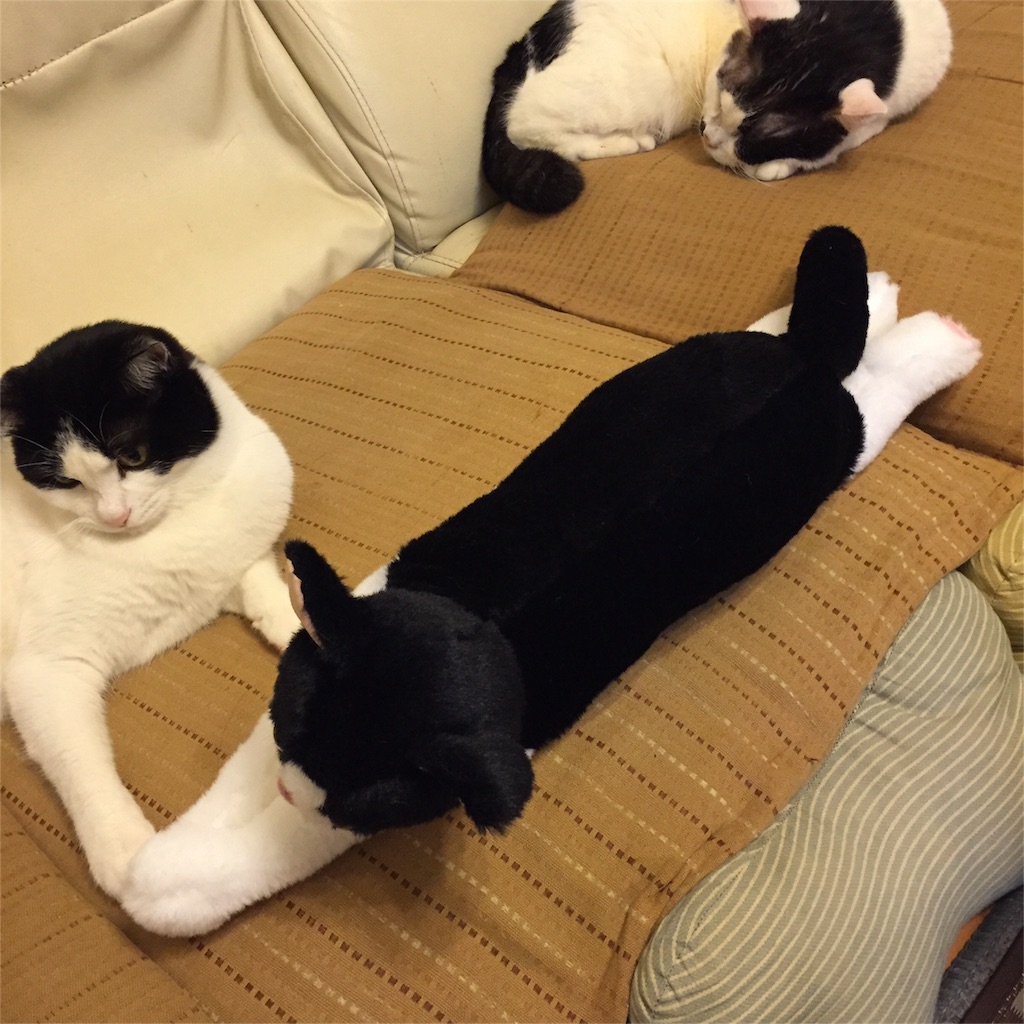 f:id:tarako3016:20151109215907j:image f:id:tarako3016:20151109215907j:image