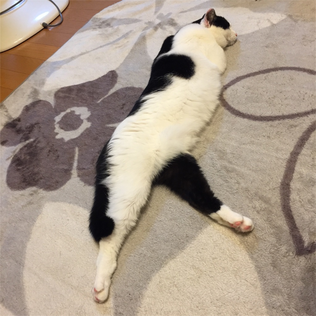 f:id:tarako3016:20151114113846j:image f:id:tarako3016:20151114113846j:image