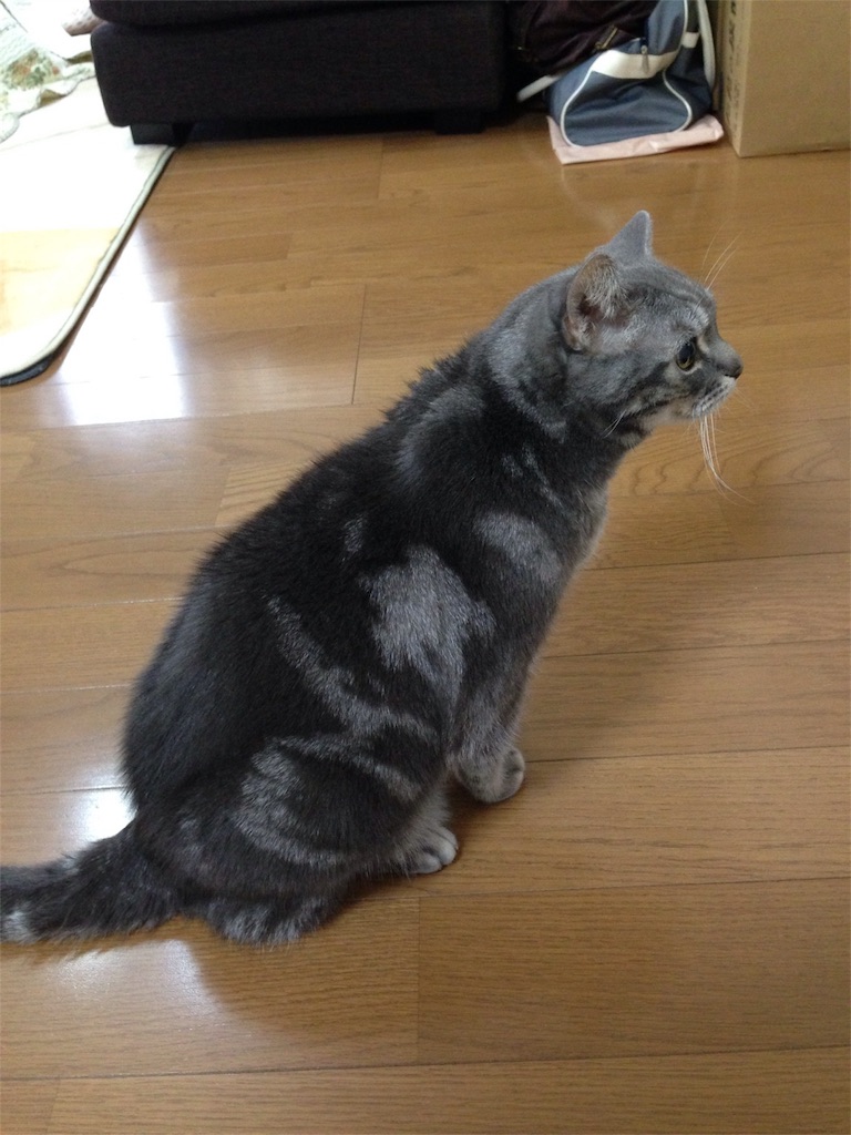 f:id:tarako3016:20151130233737j:image f:id:tarako3016:20151130233737j:image