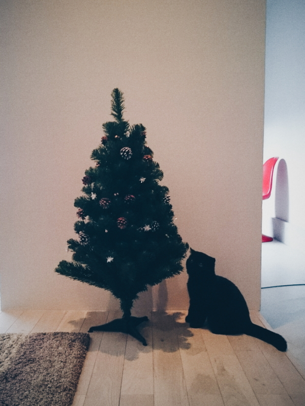 f:id:taremekun:20141215223910j:plain