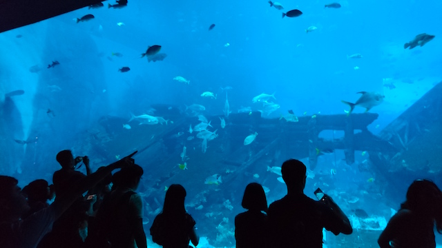 f:id:taris777:20160501223405j:plain