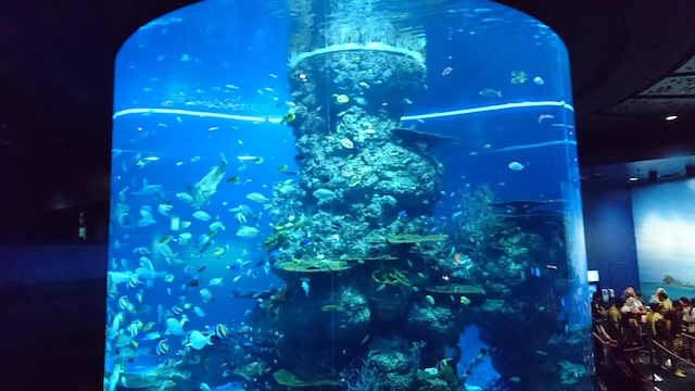 f:id:taris777:20160501223449j:plain