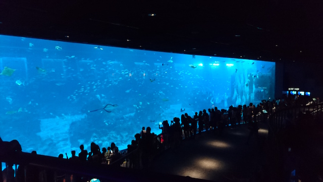 f:id:taris777:20160501223508j:plain