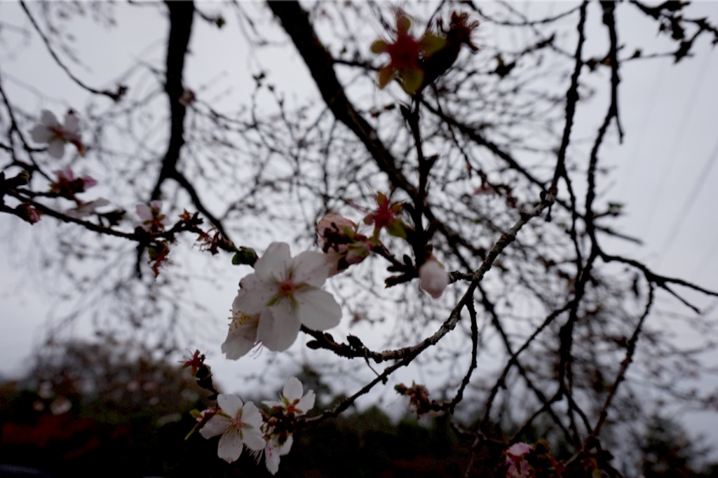 f:id:taroandjiro:20151123134739j:image f:id:taroandjiro:20151123134739j:image