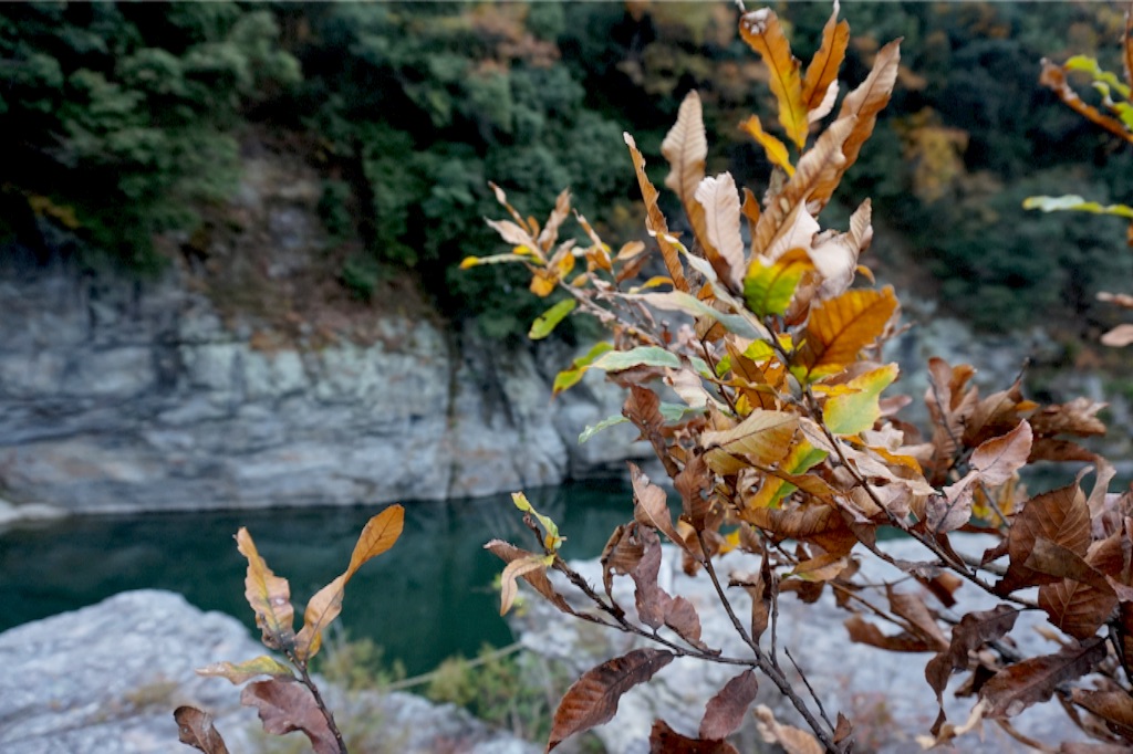 f:id:taroandjiro:20151123135143j:image f:id:taroandjiro:20151123135143j:image