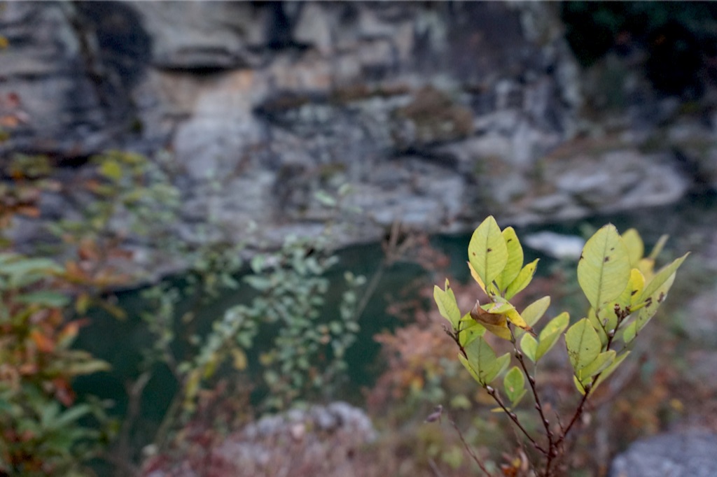 f:id:taroandjiro:20151123135253j:image f:id:taroandjiro:20151123135253j:image