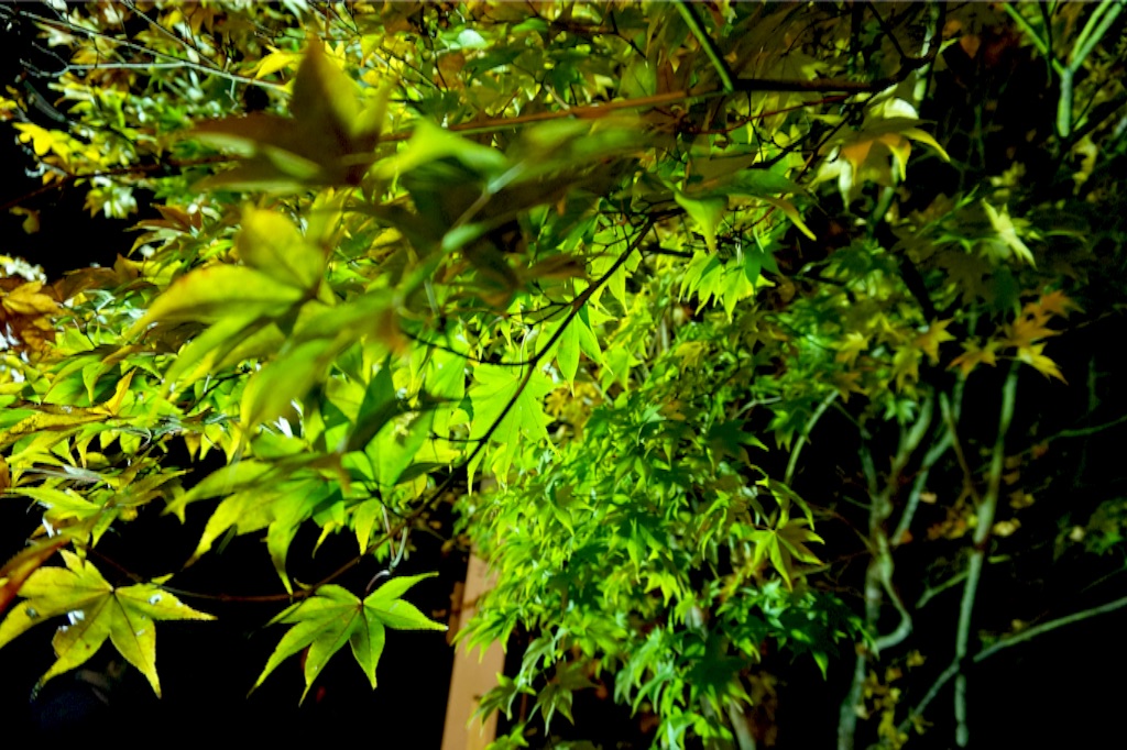f:id:taroandjiro:20151123140255j:image f:id:taroandjiro:20151123140255j:image
