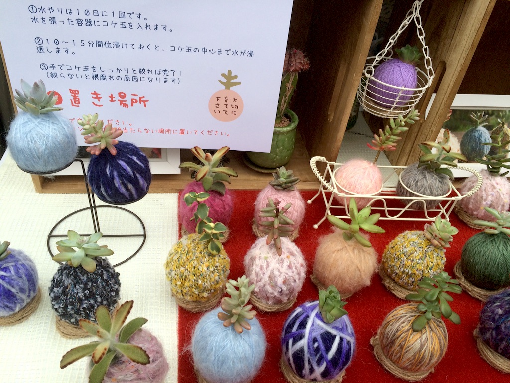 f:id:taroandjiro:20160306181929j:image f:id:taroandjiro:20160306181929j:image