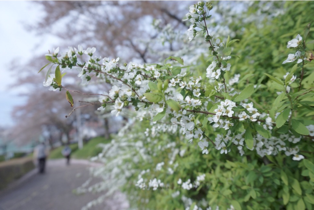 f:id:taroandjiro:20160410185544j:image f:id:taroandjiro:20160410185544j:image