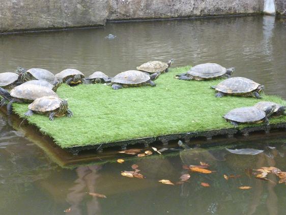 f:id:tarojiroko:20121219141819j:plain f:id:tarojiroko:20121219141819j:plain