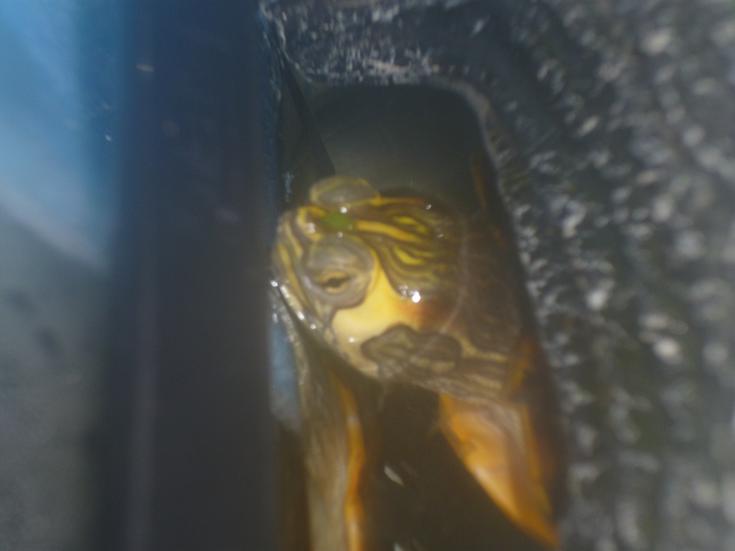 f:id:tarojiroko:20121226030105j:plain f:id:tarojiroko:20121226030105j:plain