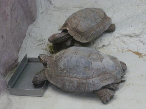 f:id:tarojiroko:20130123134047j:plain f:id:tarojiroko:20130123134047j:plain