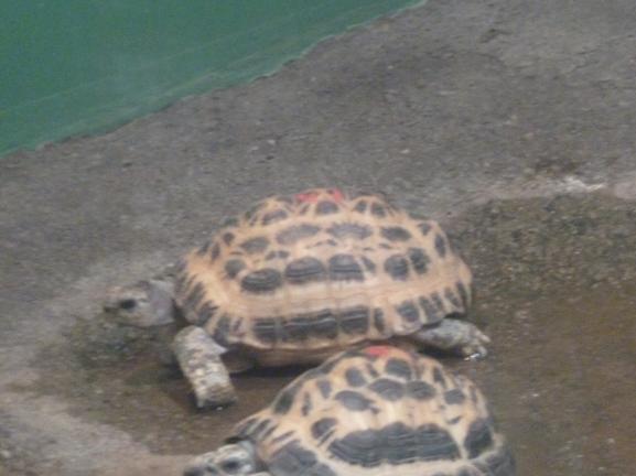 f:id:tarojiroko:20130311150844j:plain f:id:tarojiroko:20130311150844j:plain