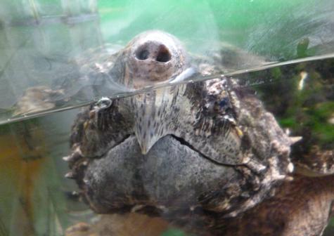 f:id:tarojiroko:20140930155335j:plain f:id:tarojiroko:20140930155335j:plain