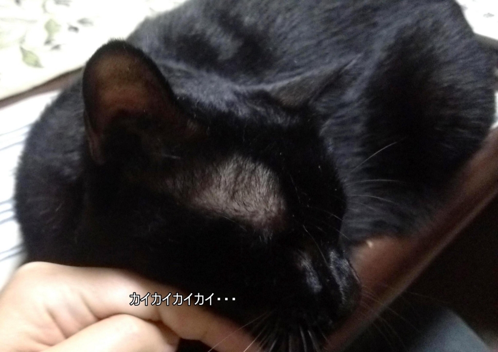 f:id:tarojiroko:20150916060922j:plain
