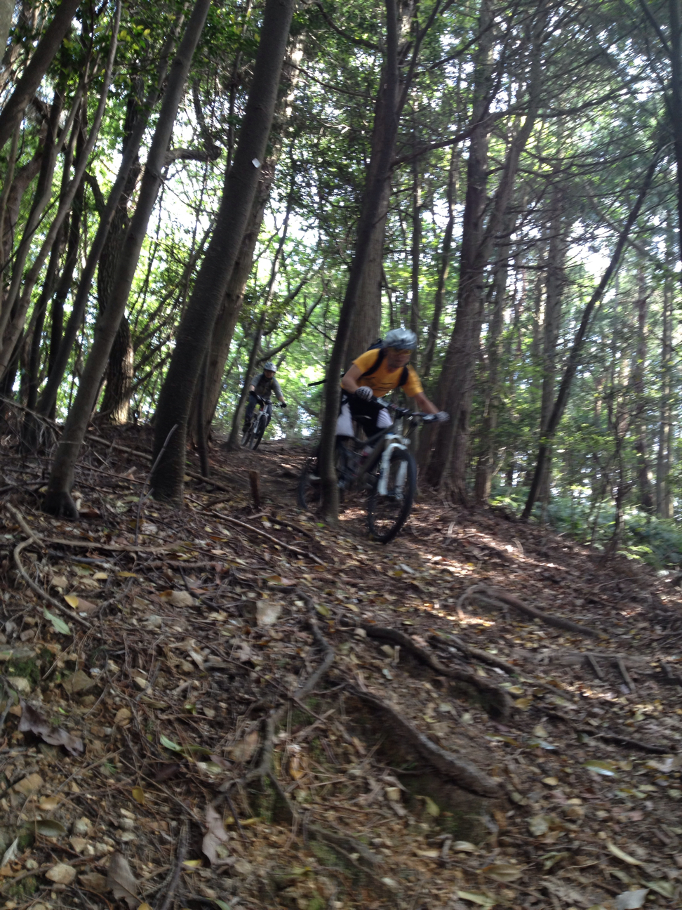 f:id:tasano-kona:20130527005618j:plain f:id:tasano-kona:20130527005618j:plain