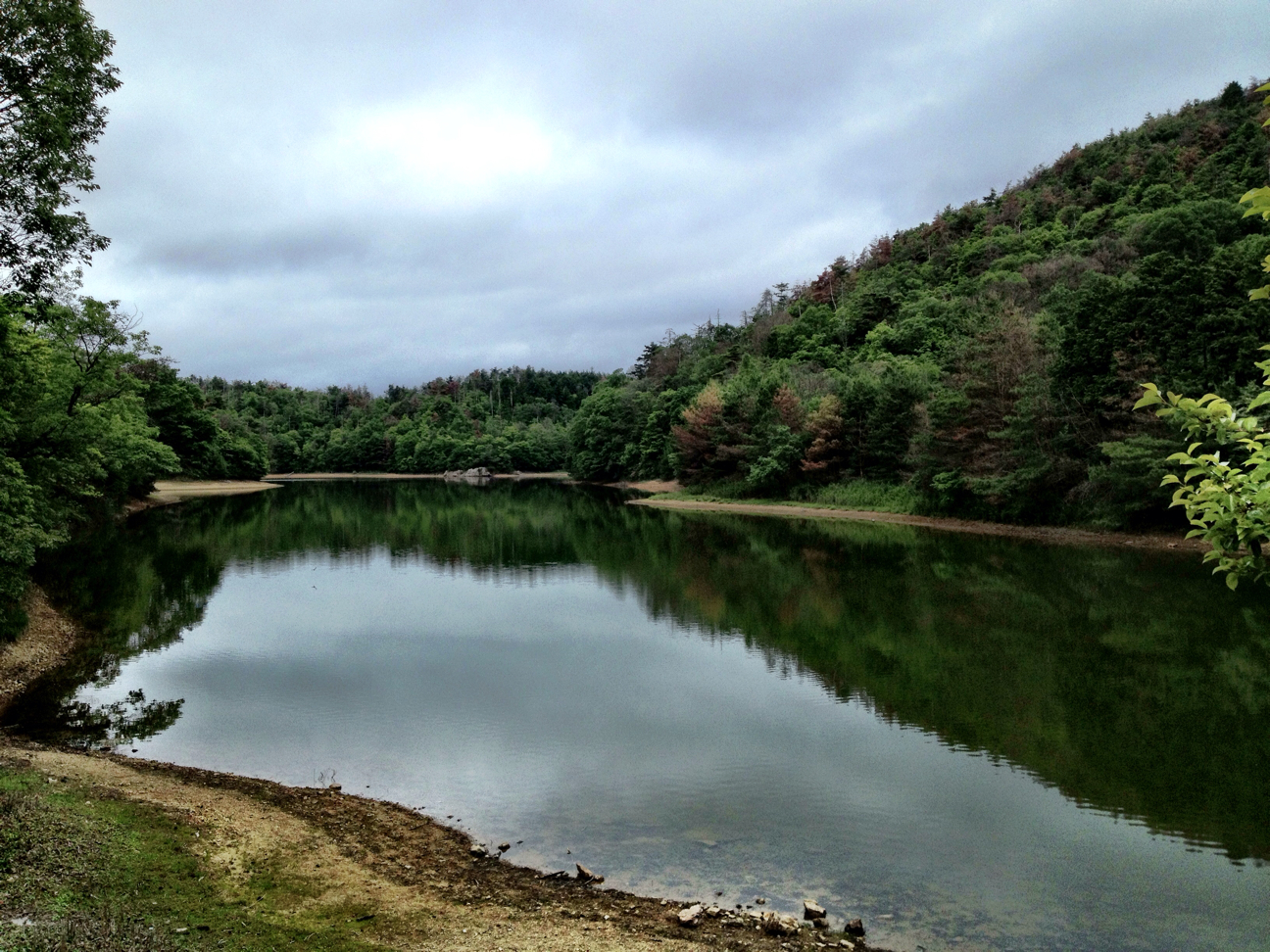 f:id:tasano-kona:20130611215319j:plain f:id:tasano-kona:20130611215319j:plain