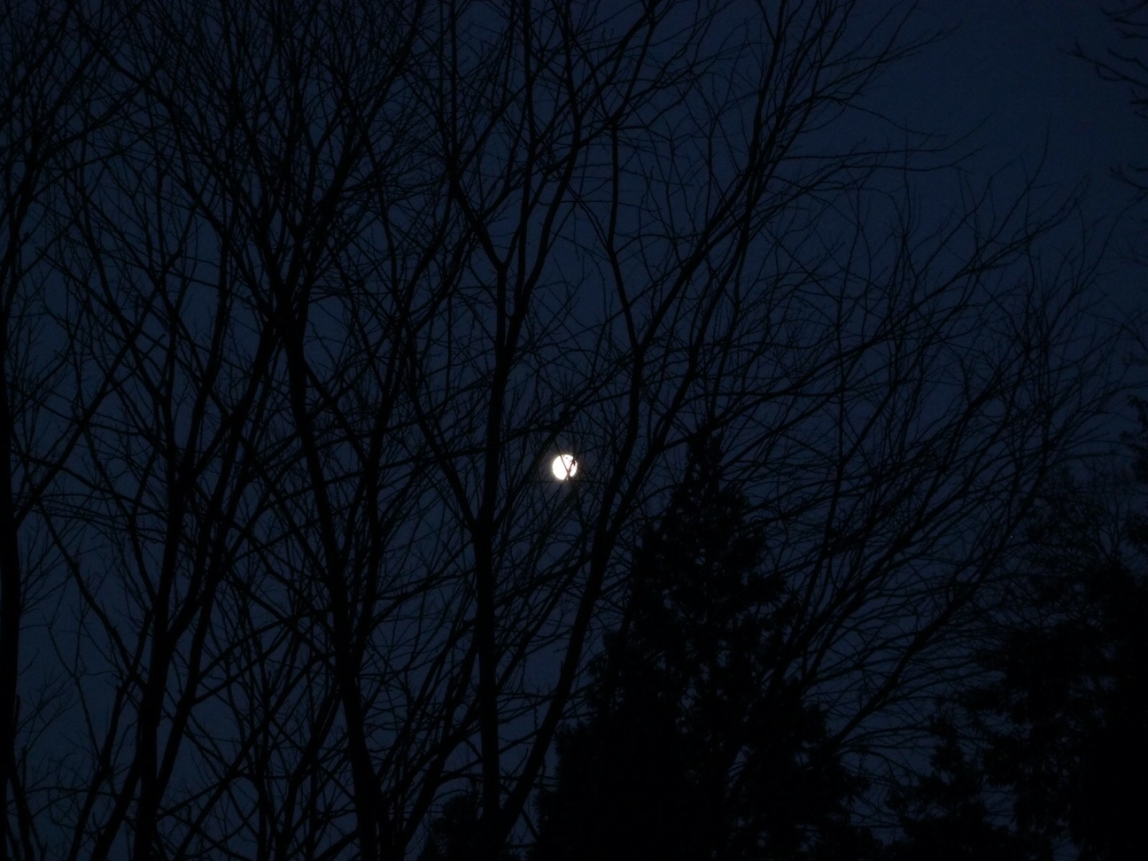 f:id:tasano-kona:20131220224422j:plain f:id:tasano-kona:20131220224422j:plain