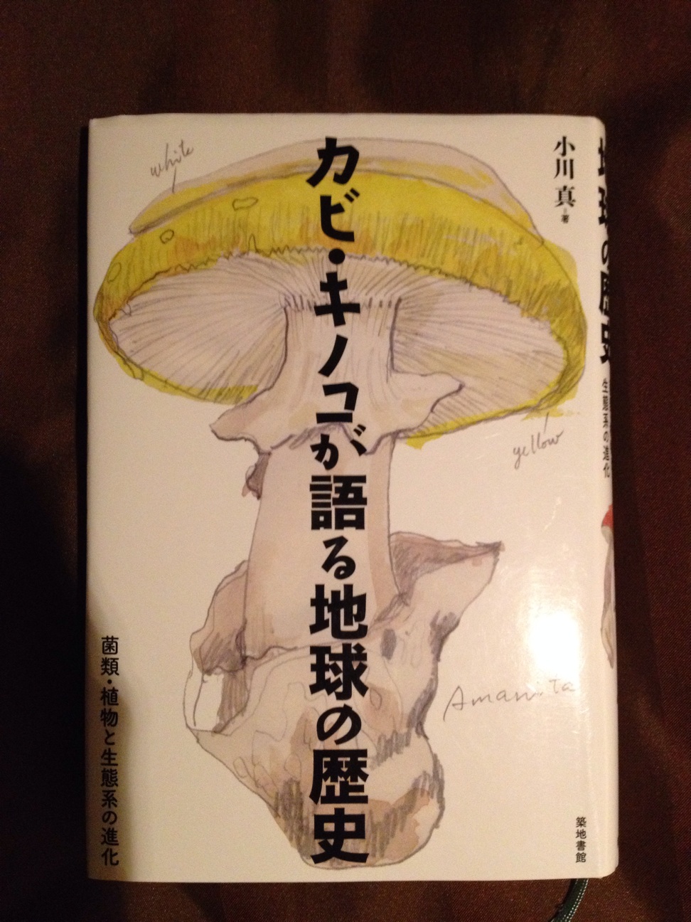 f:id:tasano-kona:20140120222226j:plain f:id:tasano-kona:20140120222226j:plain