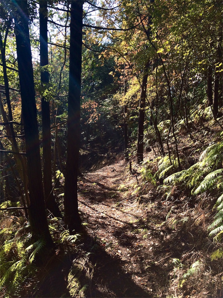 f:id:tasano-kona:20151103120417j:image f:id:tasano-kona:20151103120417j:image