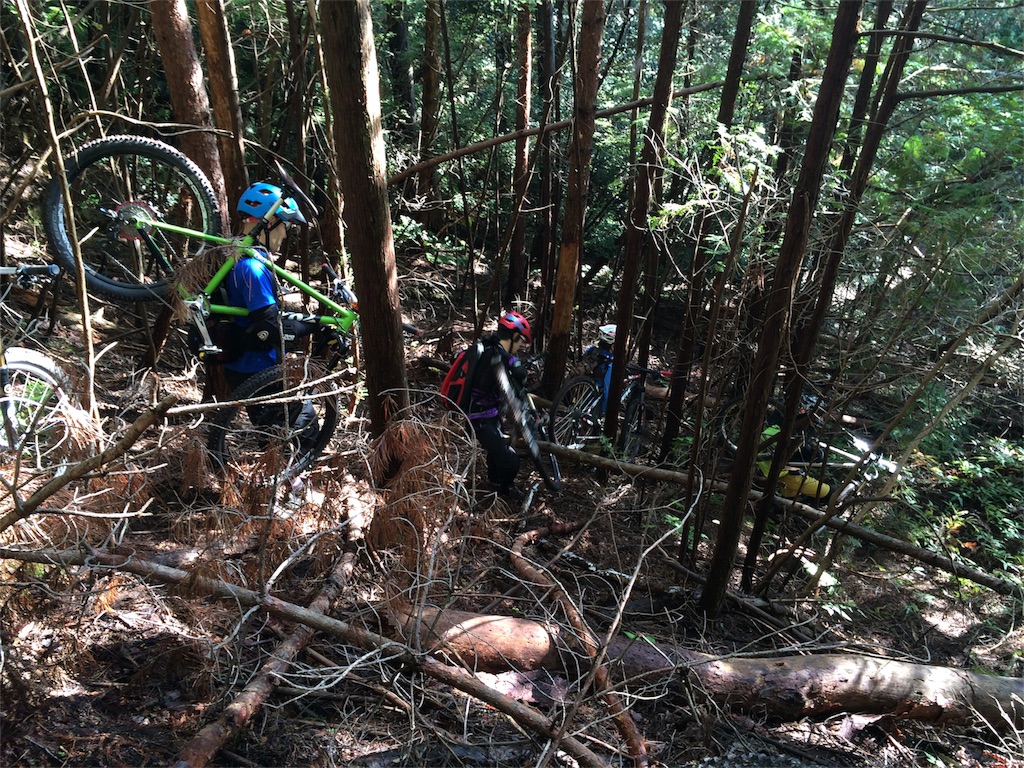 f:id:tasano-kona:20151103120613j:image f:id:tasano-kona:20151103120613j:image