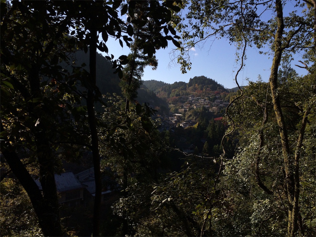 f:id:tasano-kona:20151103120841j:image f:id:tasano-kona:20151103120841j:image