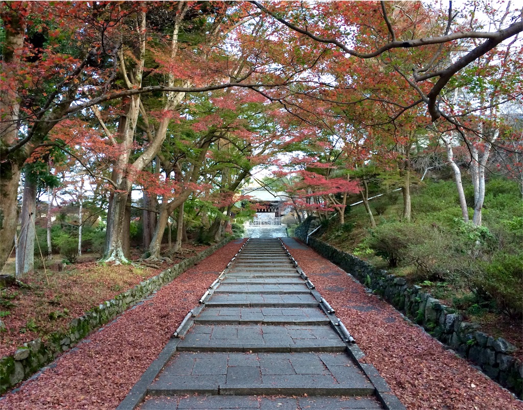 f:id:tasano-kona:20151128183317j:image f:id:tasano-kona:20151128183317j:image