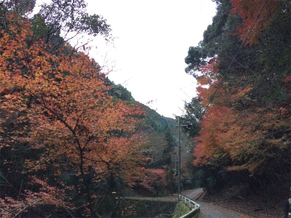 f:id:tasano-kona:20151206164108j:image f:id:tasano-kona:20151206164108j:image