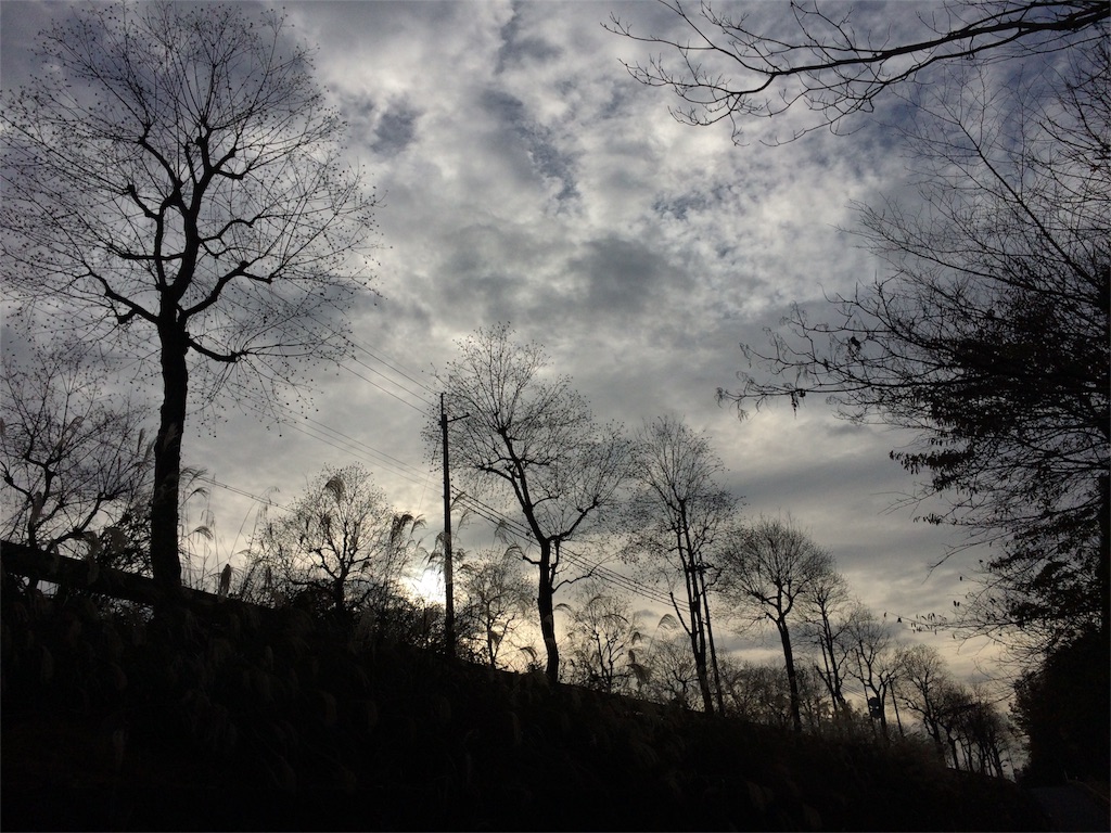f:id:tasano-kona:20151206164746j:image f:id:tasano-kona:20151206164746j:image