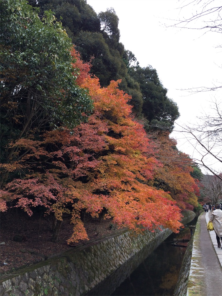 f:id:tasano-kona:20151206165651j:image f:id:tasano-kona:20151206165651j:image