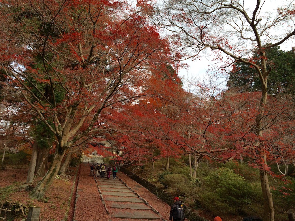 f:id:tasano-kona:20151206165855j:image f:id:tasano-kona:20151206165855j:image