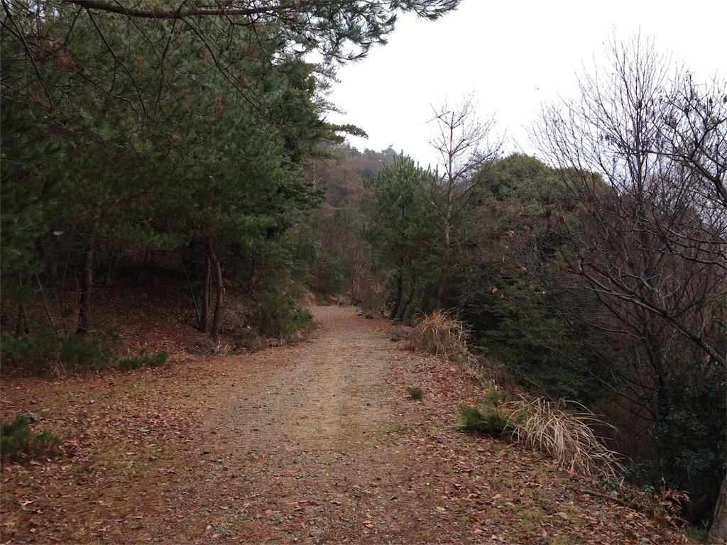 f:id:tasano-kona:20151221223734j:image f:id:tasano-kona:20151221223734j:image
