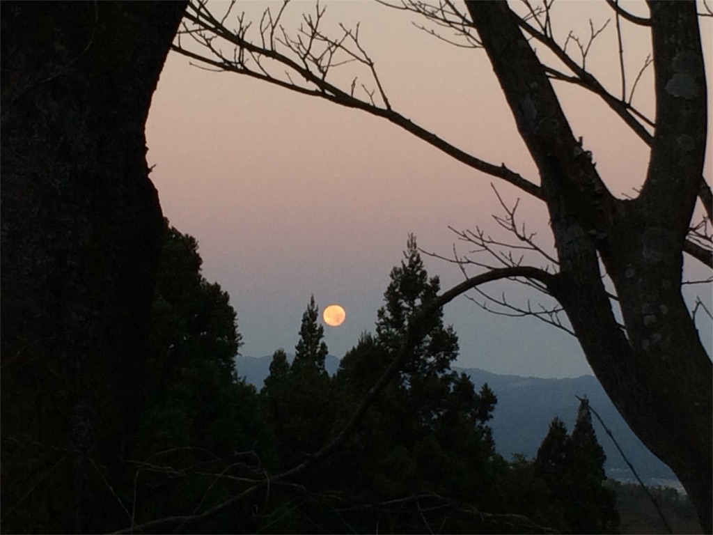 f:id:tasano-kona:20151226203756j:image f:id:tasano-kona:20151226203756j:image