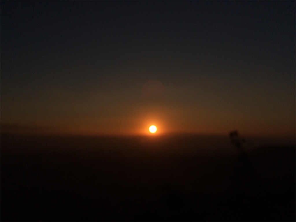 f:id:tasano-kona:20160101201813j:image f:id:tasano-kona:20160101201813j:image