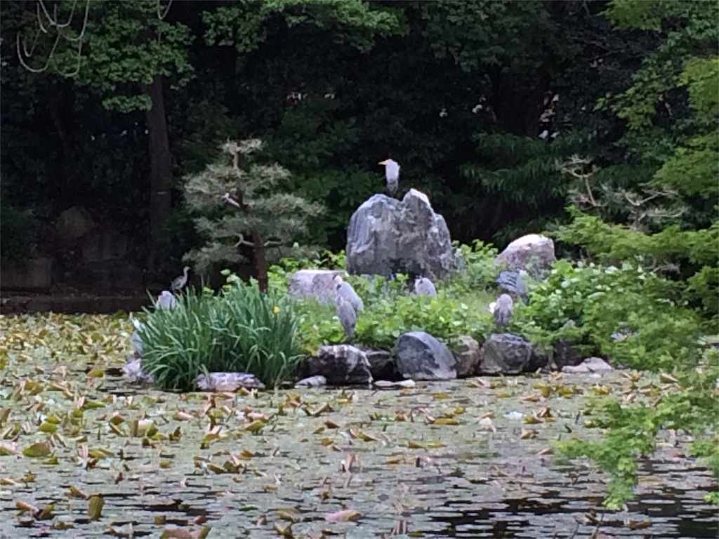 f:id:tasano-kona:20160429224221j:image f:id:tasano-kona:20160429224221j:image