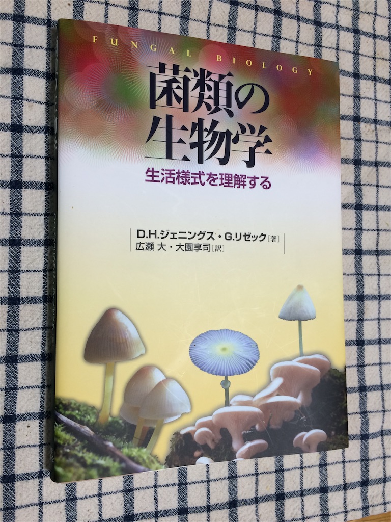 f:id:tasano-kona:20160608000829j:image f:id:tasano-kona:20160608000829j:image