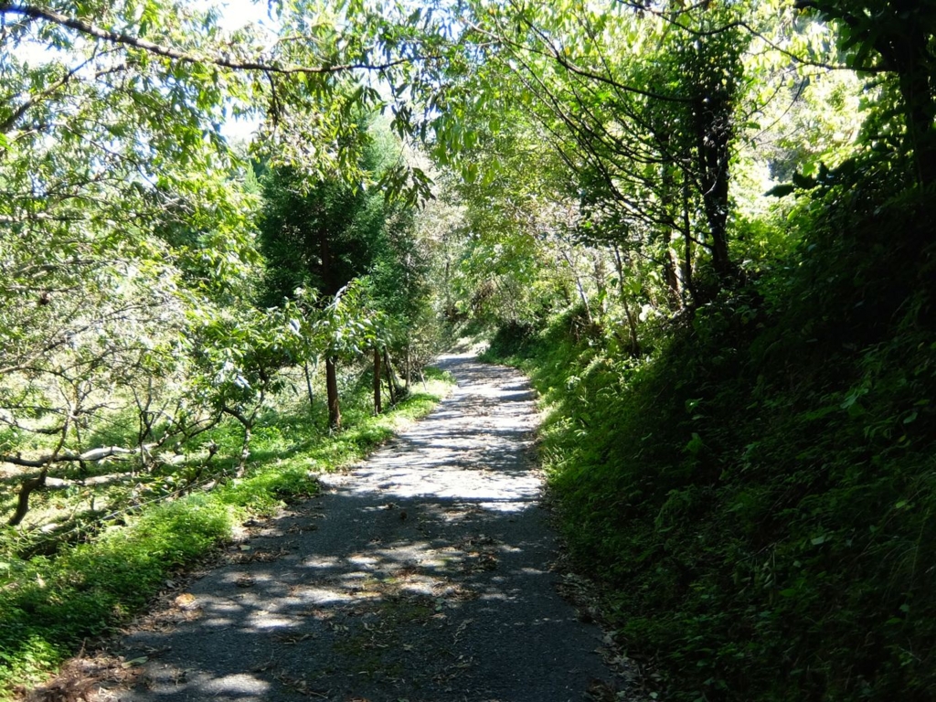 f:id:tasunosuke:20151005105159j:plain