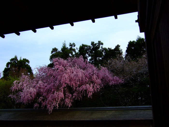 f:id:tasusu:20080412162501j:image:w300 f:id:tasusu:20080412162501j:image:w300